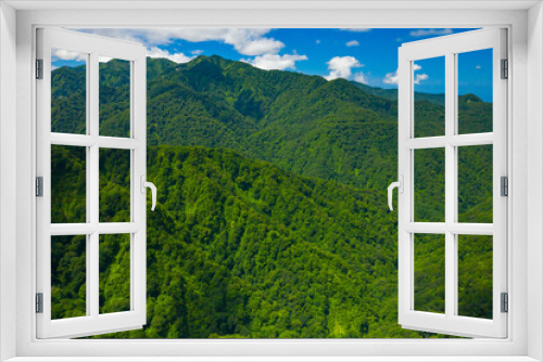 Fototapeta Naklejka Na Ścianę Okno 3D - 新緑の白神山地
