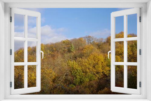 Fototapeta Naklejka Na Ścianę Okno 3D - Herbstwald