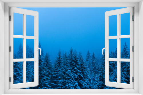 Fototapeta Naklejka Na Ścianę Okno 3D - Coniferous forest in winter, Dolomites, Italy, Europe