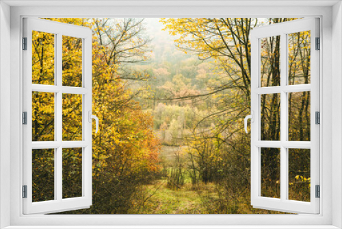 Fototapeta Naklejka Na Ścianę Okno 3D - Beautiful rural landscape in Europe. Sunny nature with meadow and colorful forest. Orange trees on hillsides.