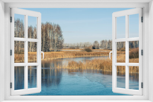 Fototapeta Naklejka Na Ścianę Okno 3D - The first frost covered with a thin crust of ice a small pond winding among the birches. The banks of the reservoir are overgrown with reeds and shrubs
