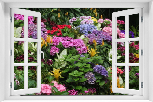 Fototapeta Naklejka Na Ścianę Okno 3D - Colorful Garden Flowers 02