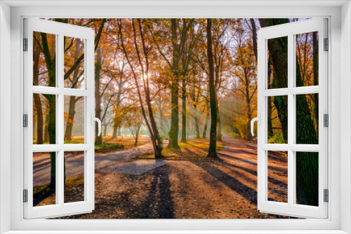 Fototapeta Naklejka Na Ścianę Okno 3D - Ein Herbsttag im Hermann  -Löns-Park  Hannover
