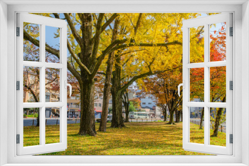 Fototapeta Naklejka Na Ścianę Okno 3D - 京都の東本願寺前のイチョウ