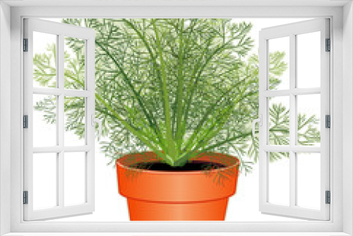 Fototapeta Naklejka Na Ścianę Okno 3D - Dill Herb or Dill Weed in Flowerpot. To season foods, pickles.