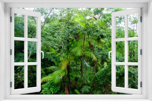 Fototapeta Naklejka Na Ścianę Okno 3D - atlantic forest