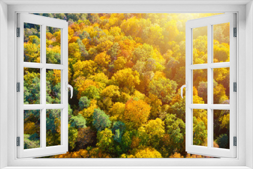 Fototapeta Naklejka Na Ścianę Okno 3D - Aerial view of color autumn forest and sunset