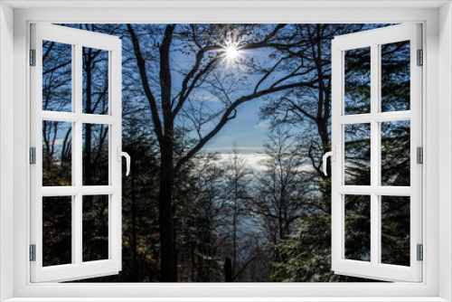 Fototapeta Naklejka Na Ścianę Okno 3D - Pieniny las 