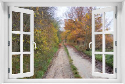 Fototapeta Naklejka Na Ścianę Okno 3D - A field path by autumn trees