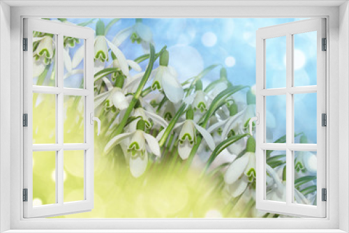 Fototapeta Naklejka Na Ścianę Okno 3D - Hintergrund Schneeglöckchen Glitzer