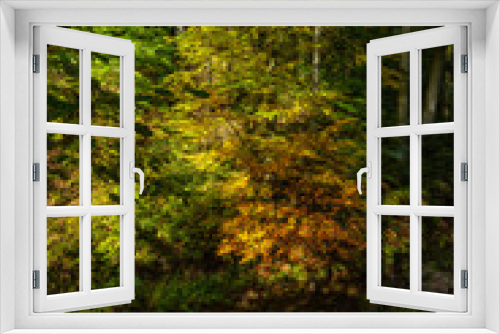 Fototapeta Naklejka Na Ścianę Okno 3D - Herbstliche Landschaft im Schwarzwald
