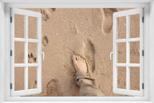 Fototapeta Naklejka Na Ścianę Okno 3D - POV shot: the foot of a man, walking barefoot on a sandy beach, wearing pants (autumn or winter).
