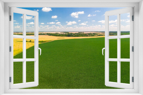 Fototapeta Naklejka Na Ścianę Okno 3D - Top view of corn and sunflower fields in Russia