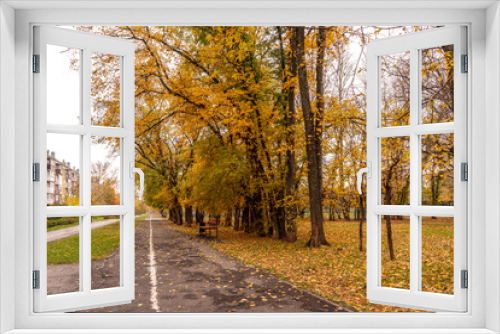Fototapeta Naklejka Na Ścianę Okno 3D - Beautiful Colorful Autumn park and alley