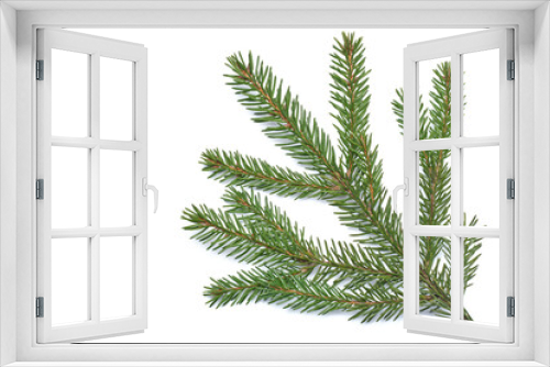 Fototapeta Naklejka Na Ścianę Okno 3D - spruce branch isolated on a white textured background