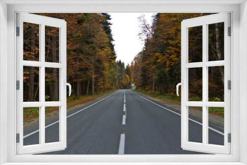 Fototapeta Naklejka Na Ścianę Okno 3D - road in autumn forest