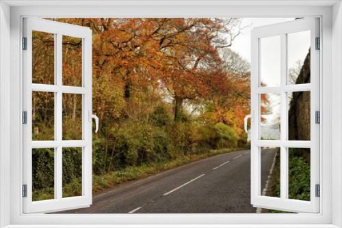 Fototapeta Naklejka Na Ścianę Okno 3D - Jesienny krajobraz miejskiej drogi