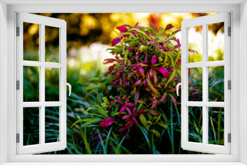 Fototapeta Naklejka Na Ścianę Okno 3D - flowers in spring