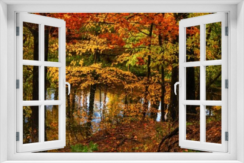 Fototapeta Naklejka Na Ścianę Okno 3D - Beautiful Tranquil Autumn Nature in Quite Forest: Colorful Trees Above the Lake with Reflection