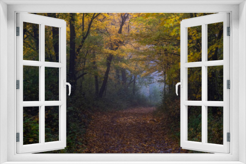 Fototapeta Naklejka Na Ścianę Okno 3D - path in misty autumn forest 