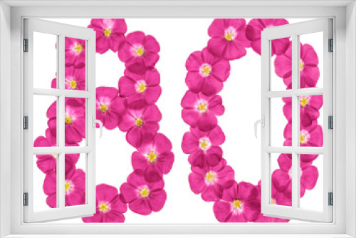 Fototapeta Naklejka Na Ścianę Okno 3D - Arabic numeral 80, eighty, from pink flowers of flax, isolated on white background