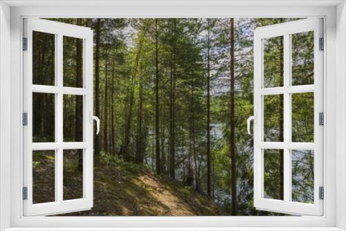 Fototapeta Naklejka Na Ścianę Okno 3D - Beautiful landscape view of lake through pine trees. Lake shore with green trees and plants reflecting in  mirror water surface. Sweden. 