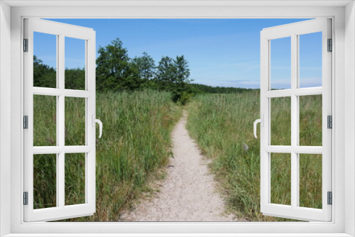 Fototapeta Naklejka Na Ścianę Okno 3D - Darßer Ort, Darß - Wanderweg, Naturreservat, Kiefern, Urwald, Sandweg, Weg, Pfad und Sandpfad an der Ostsee