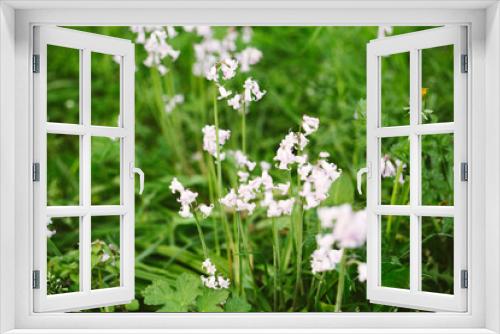 Fototapeta Naklejka Na Ścianę Okno 3D - flowers wild garlinc 