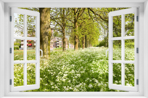 Fototapeta Naklejka Na Ścianę Okno 3D - Suburb in spring