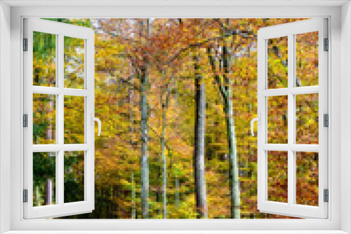Fototapeta Naklejka Na Ścianę Okno 3D - Schmale Straße in den goldenen Herbstwald
