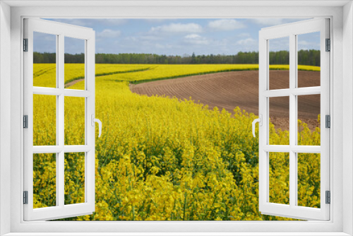 Fototapeta Naklejka Na Ścianę Okno 3D - Zaorane pola i kwitnące łany rzepaku wiosną