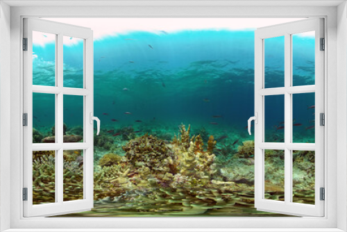 Fototapeta Naklejka Na Ścianę Okno 3D - Tropical fishes and coral reef underwater. Hard and soft corals, underwater landscape. Philippines. Virtual Reality 360.