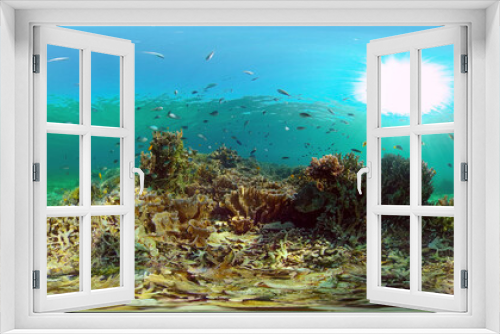 Fototapeta Naklejka Na Ścianę Okno 3D - Tropical colourful underwater seascape.The underwater world with colored fish and a coral reef. Philippines. 360 panorama VR