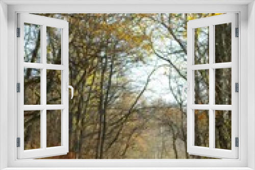Fototapeta Naklejka Na Ścianę Okno 3D - Wanderweg im Herbst