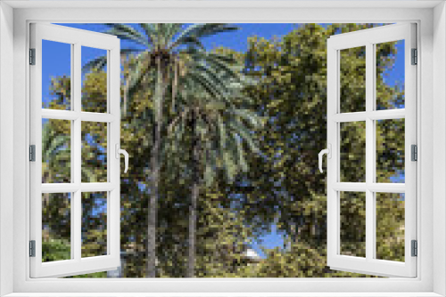 Fototapeta Naklejka Na Ścianę Okno 3D - Park Villa near Cathedral of Palermo - 30,000 m2 Public Park founded in second half of XIX century. Park Villa characteristic are lush palm trees. Palermo, Sicily, Italy.