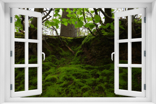 Fototapeta Naklejka Na Ścianę Okno 3D - Outdoor Scenes