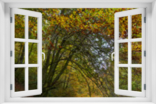 Fototapeta Naklejka Na Ścianę Okno 3D - Footpath through forest
