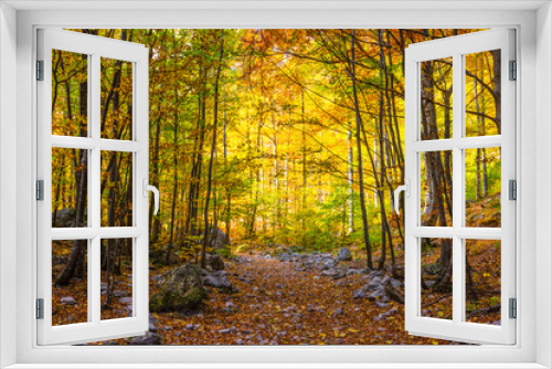 Fototapeta Naklejka Na Ścianę Okno 3D -  Magnificent golden autumn
