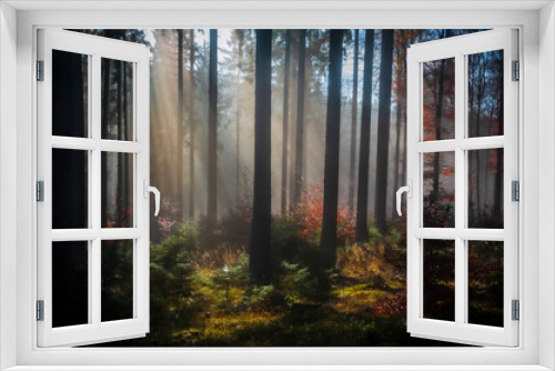Fototapeta Naklejka Na Ścianę Okno 3D - Herbst-Wald am Altkönig, Taunus, Sonnenstrahlen