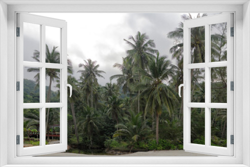 Fototapeta Naklejka Na Ścianę Okno 3D -  Coconut palms on the paradise coconut island