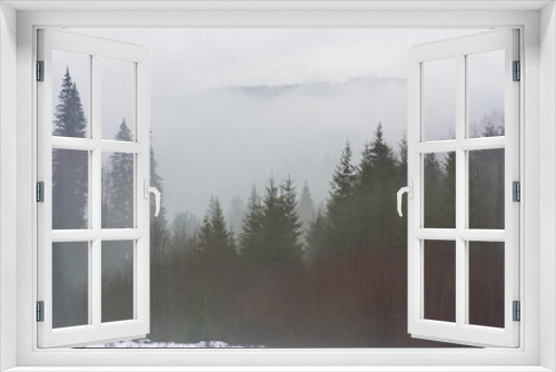 Fototapeta Naklejka Na Ścianę Okno 3D - Winter Carpathian mountains in cloudy weather with foggy forests
