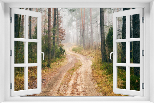 Fototapeta Naklejka Na Ścianę Okno 3D - leśna jesienna ścieżka