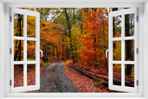 Fototapeta Naklejka Na Ścianę Okno 3D - Empty road in autumn colorful forest