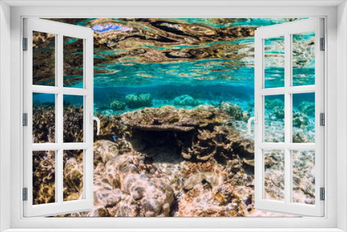 Fototapeta Naklejka Na Ścianę Okno 3D - Underwater view with corals and fish in ocean
