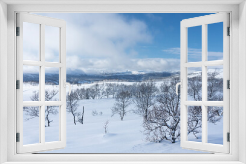 Fototapeta Naklejka Na Ścianę Okno 3D - Winter landscapes from Holtaalen, Norway.