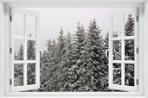Fototapeta Naklejka Na Ścianę Okno 3D - snow covered pine trees