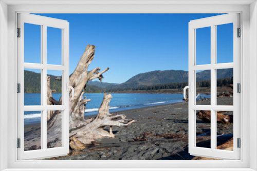 Fototapeta Naklejka Na Ścianę Okno 3D - driftwood on the beach at Port Renfrew, British Columbia, Canada
