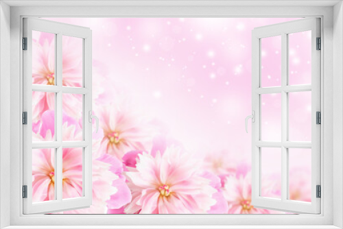 Fototapeta Naklejka Na Ścianę Okno 3D - Pink peonies close-up soft focus. Floral pink background
