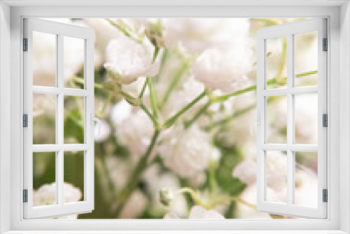 Fototapeta Naklejka Na Ścianę Okno 3D - baby's breath white blossom