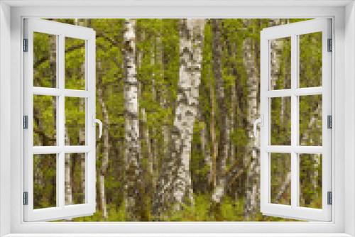 Fototapeta Naklejka Na Ścianę Okno 3D - Woodland in France
